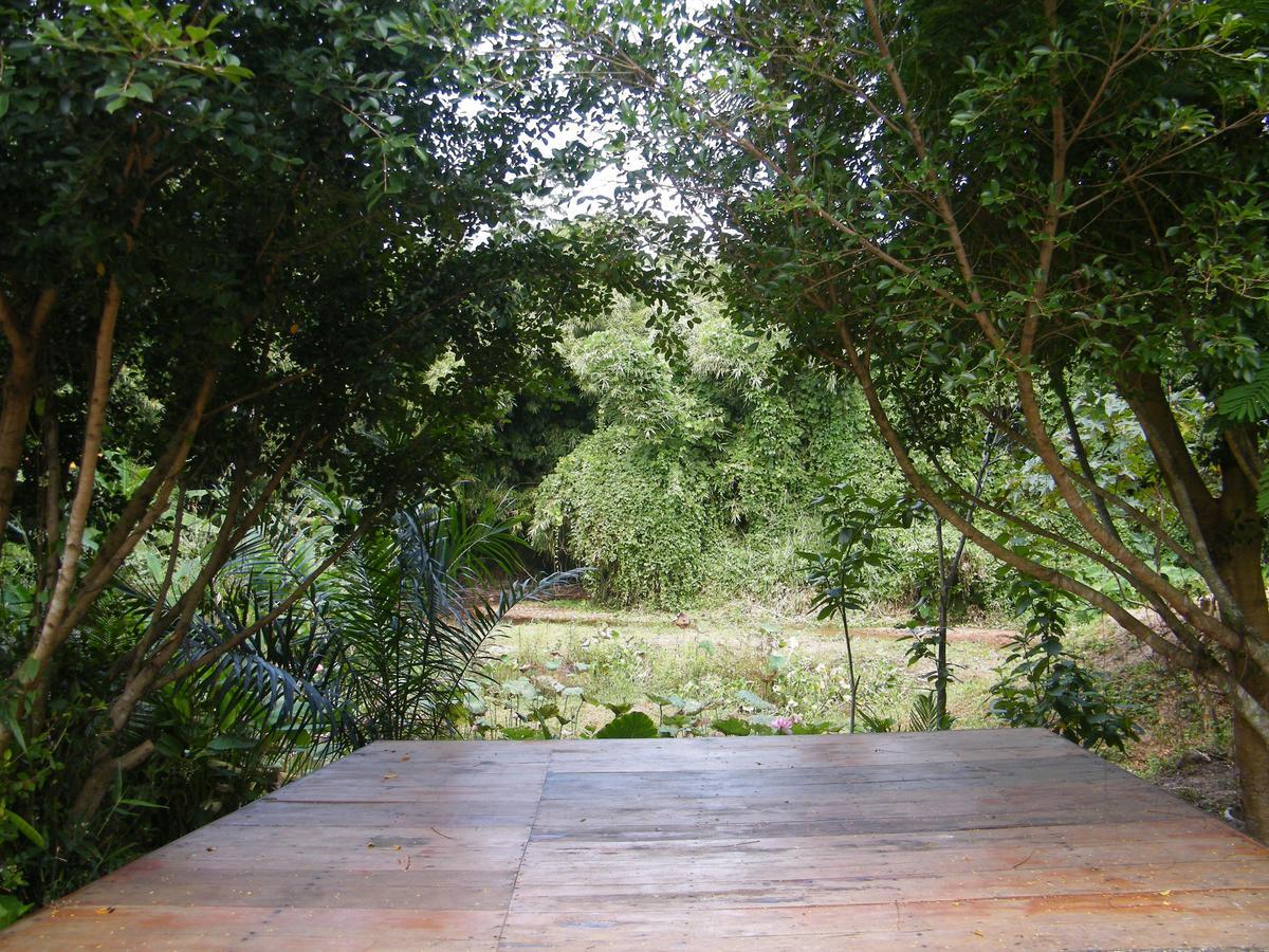 Ya Teng Homestay Ban Tha Sai Extérieur photo